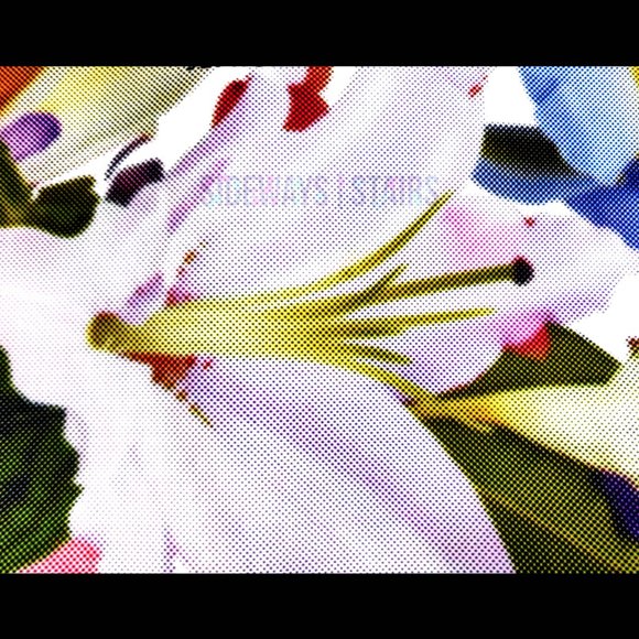 SEPHORA LILY LARGE WRISTLET CLUTCH makeup bag 13.5" zipper sleeve storage pouch - Picture 8 of 14